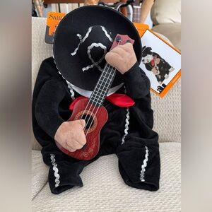 Mariachi Pet Costume